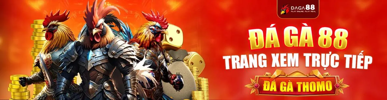 Đá gà trực tuyến 888v bet